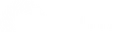 Cenitz logo